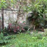 Sobrado à venda com 3 suítes em Mirandópolis, São Paulo, SP