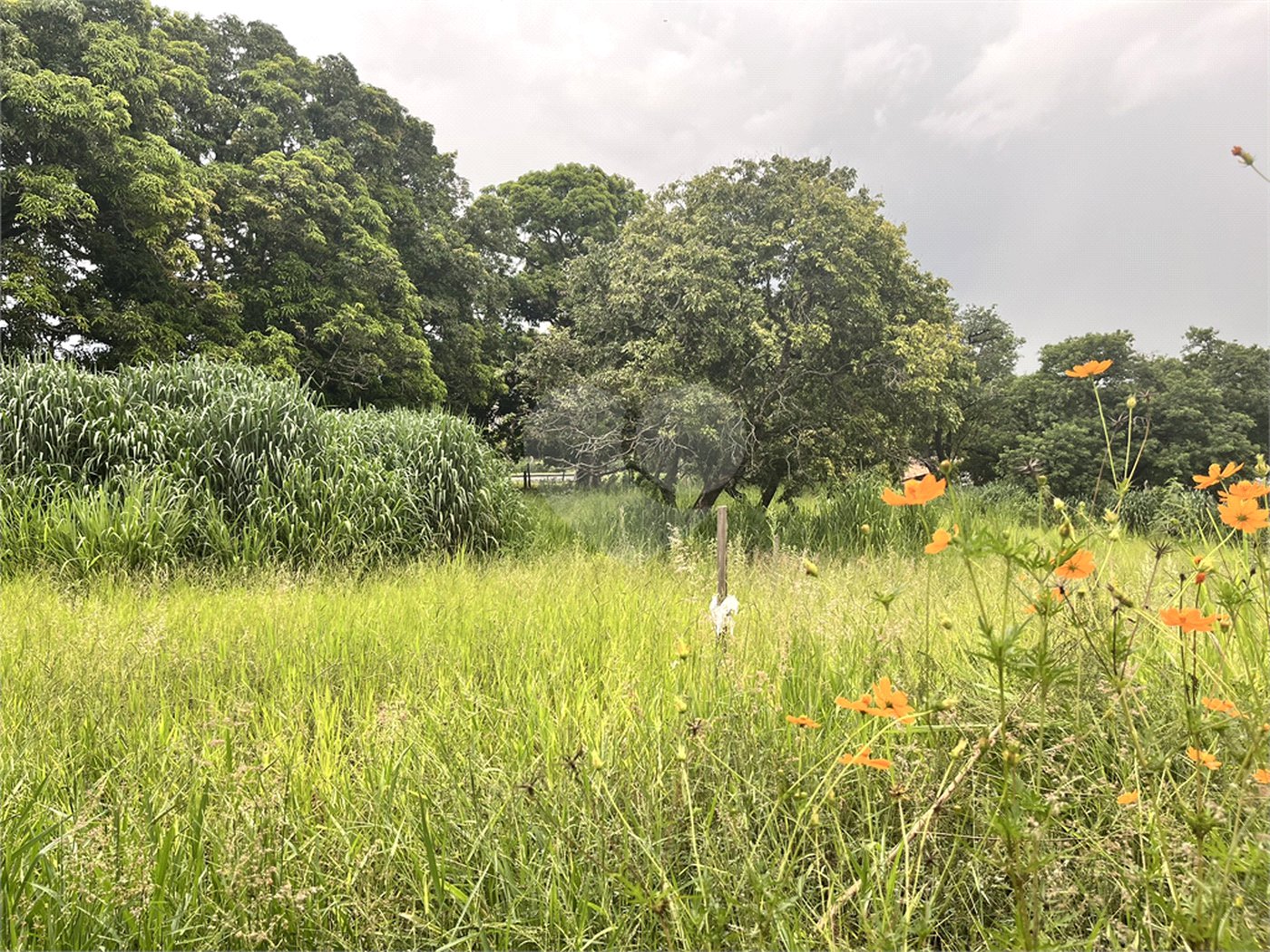Terreno à venda em Loteamento Terras de São Pedro e São Paulo, Salto, SP