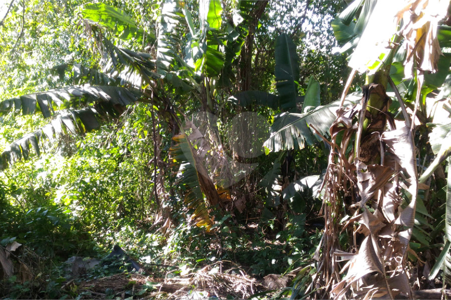 Terreno à venda em Casa Verde, São Paulo, SP