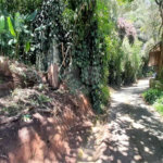 Terreno à venda em Serra da Cantareira, Mairiporã, SP