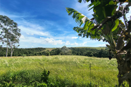 Sítio à venda com 3 quartos em Campo de Boituva, Boituva, SP