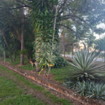 Chácara à venda com 3 quartos, sendo 1 suíte,  em Ribeirãozinho, Alambari, SP
