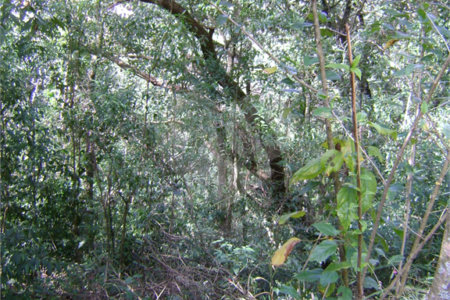 Chácara à venda com 2 quartos, sendo 1 suíte, no Centro, Araçariguama, SP