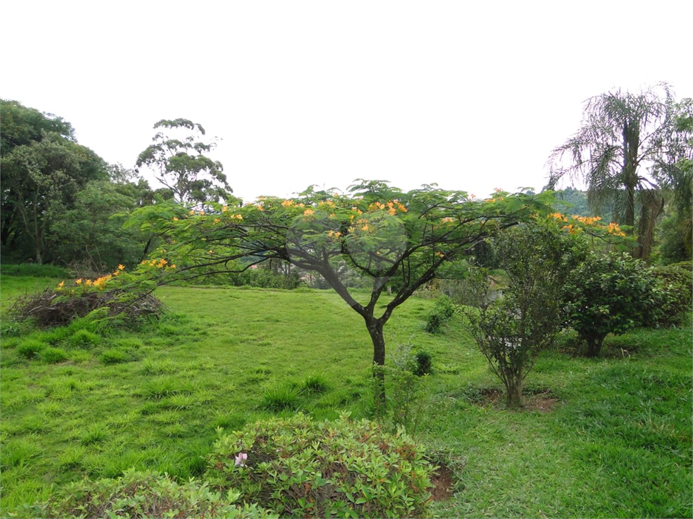 Chácara à venda com 2 quartos, sendo 1 suíte, em Santa Cândida, Vinhedo, SP