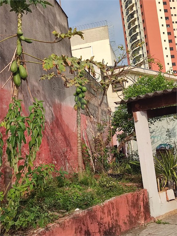 Casa à venda com 3 quartos em Mandaqui, São Paulo, SP