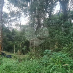 Condomínio à venda em Serra da Cantareira, Mairiporã, SP