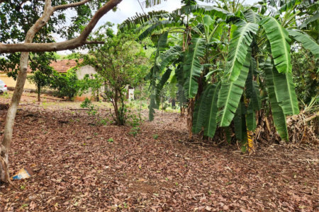 Chácara à venda com 2 quartos em Jardim Califórnia, Araraquara, SP