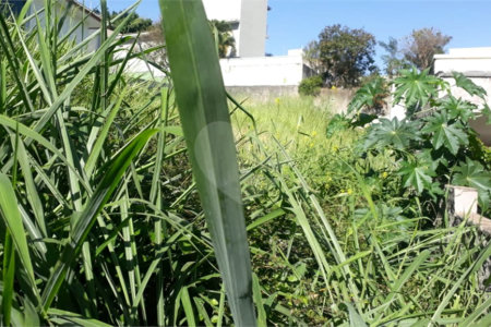 Terreno à venda em Jardim São Bento, São Paulo, SP