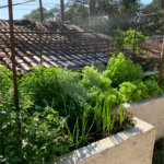 Chácara à venda com 4 quartos, sendo 1 suíte,  em Parque Residencial Atibaia, Atibaia, SP