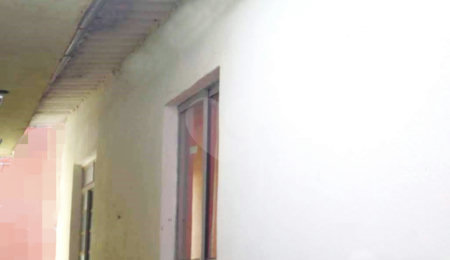 Casa à venda com 14 quartos em Mandaqui, São Paulo, SP