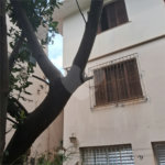 Casa à venda com 3 quartos, sendo 1 suíte,  em Jardim Campo Limpo, São Paulo, SP