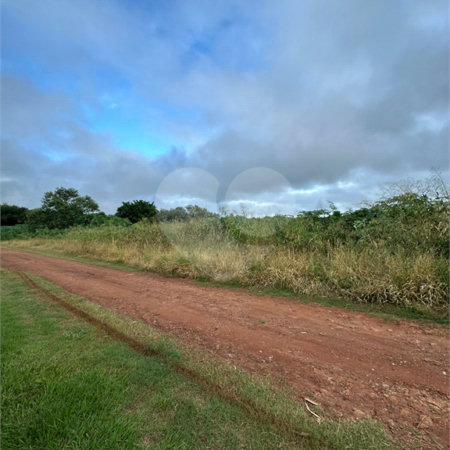 Terreno à venda em Bosque de Ponta Porã, Ponta Porã, MS