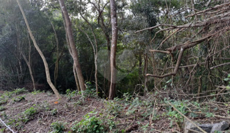 Terreno à venda no condomínio Alpes da Cantareira, Mairiporã - SP