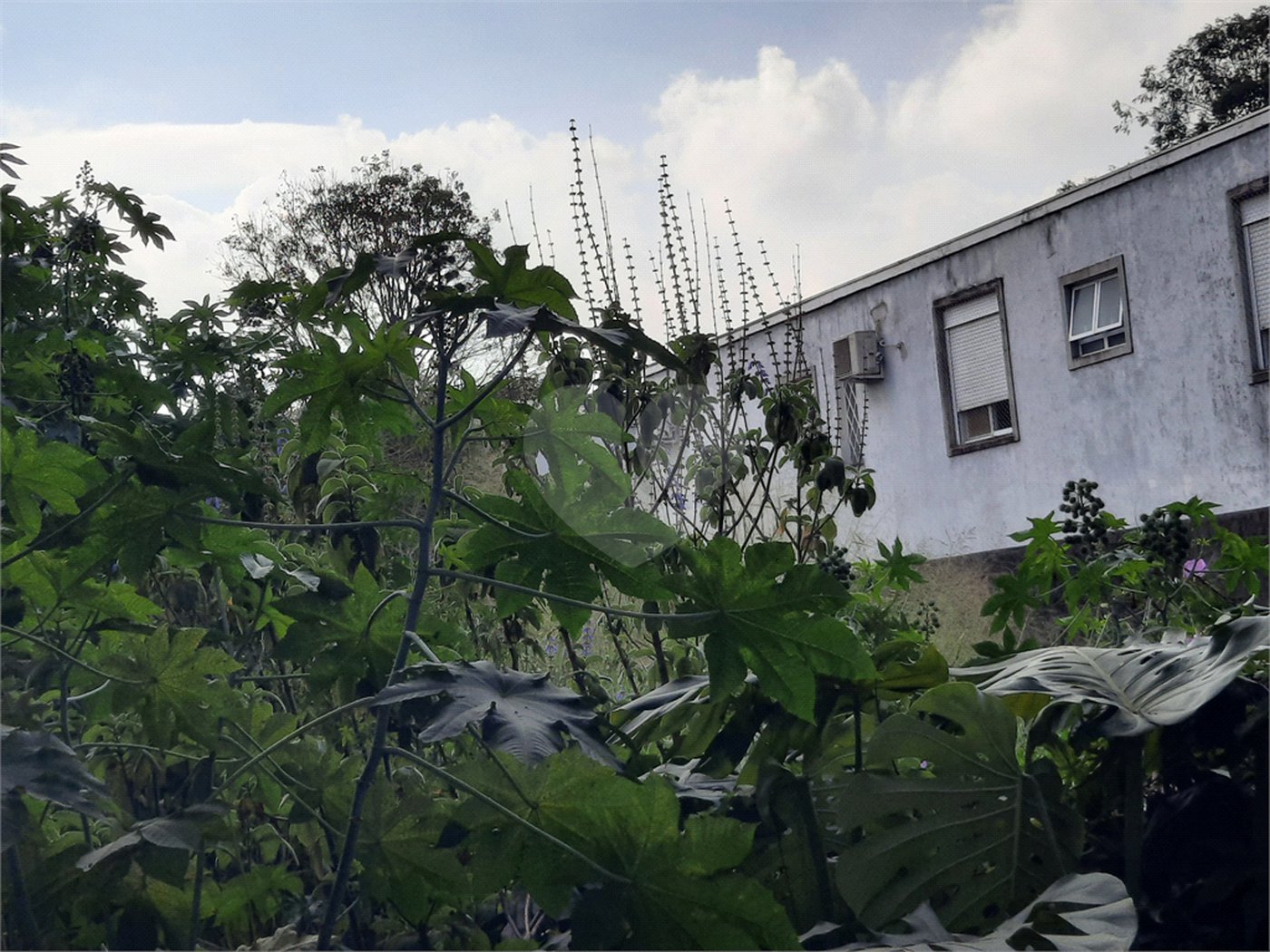 Terreno à venda em Chácara Monte Alegre, São Paulo, SP