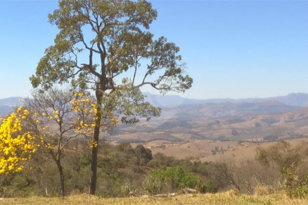 Hotel à venda com 7 quartos, sendo 4 suítes, no Centro, Soledade de Minas, MG