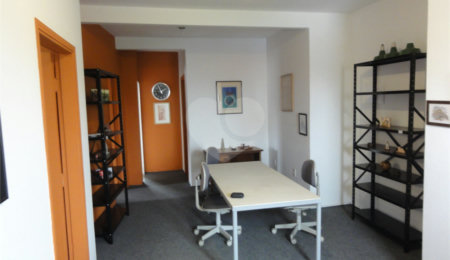 Apartamento para alugar com 2 quartos em Mandaqui, São Paulo, SP