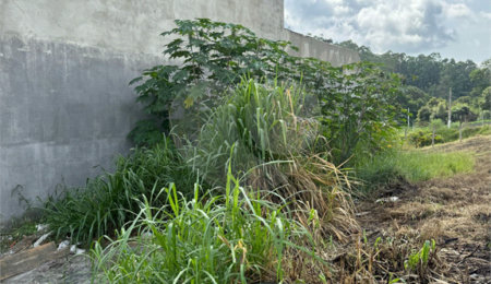Terreno à venda em Laranjeiras, Caieiras, SP