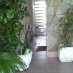 Sobrado à venda com 3 quartos em Vila Nova Mazzei, São Paulo, SP