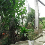 Sobrado à venda com 4 quartos, sendo 1 suíte, em Jardim São Paulo(zona Norte), São Paulo, SP