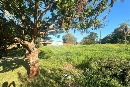 Terreno à venda em Pedro Juan Caballero, Amambay