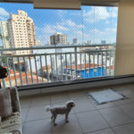 Apartamento à venda com 3 quartos, sendo 1 suíte, em Chora Menino, São Paulo, SP