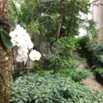 Apartamento à venda com 3 quartos, sendo 1 suíte, em Jardim Ampliação, São Paulo, SP