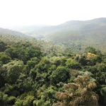 Chácara à venda com 5 quartos em Volta Grande (são João Novo), São Roque, SP