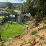 Casa à venda com 3 quartos, sendo 1 suíte, em Jardim Guaçu, São Roque, SP