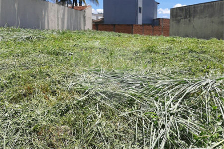 Terreno à venda em City Ribeirão, Ribeirão Preto, SP