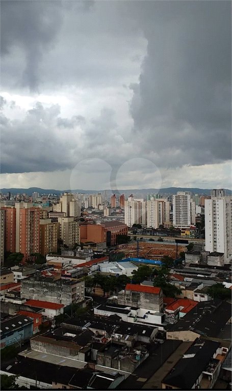 Apartamento à venda com 1 quarto em Cambuci, São Paulo, SP