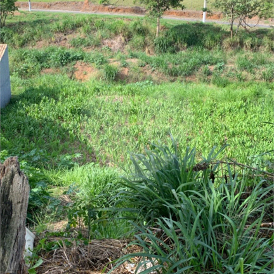 Terreno de 1.150m² no Jardim Gardênia Ideal para Casa de Campo em Atibaia