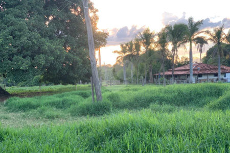 Fazenda à venda com 2 quartos em Canabrava, João Pinheiro, MG