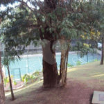 Apartamento à venda com 4 quartos, sendo 2 suítes, em Jardim Adhemar de Barros, São Paulo, SP