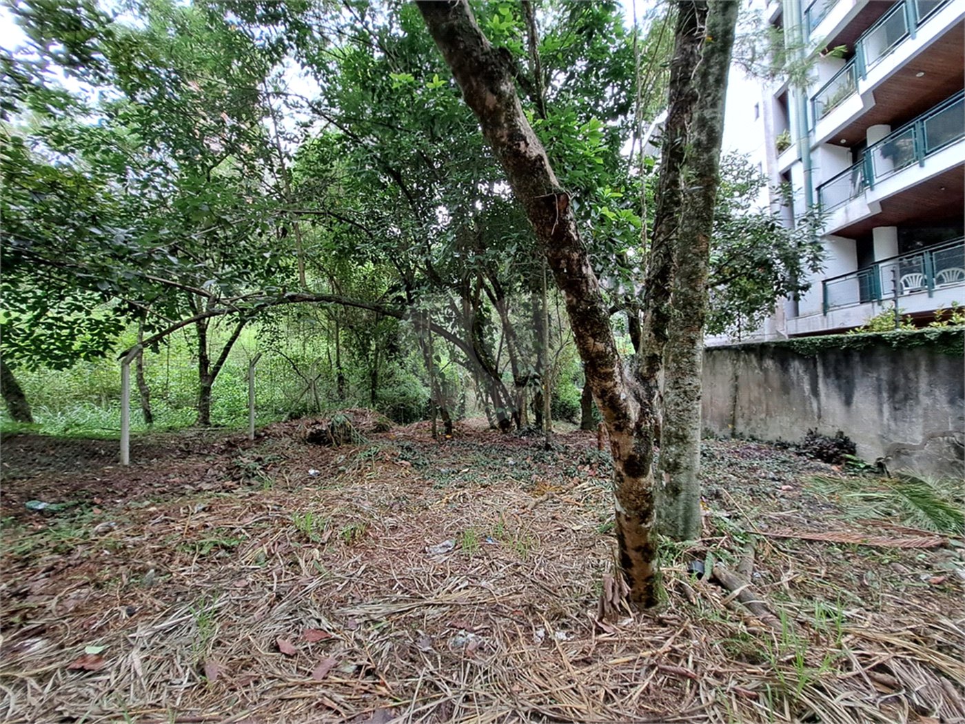 Terreno à venda em Jardim Ampliação, São Paulo, SP