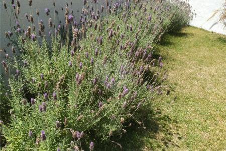Sobrado à venda com 3 quartos, sendo 1 suíte, em Jardim do Lago, Atibaia, SP