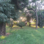 Chácara à venda com 5 quartos, sendo 1 suíte, em Tibaia de São Fernando, São Carlos, SP