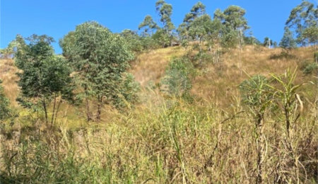 Terreno à venda em Caete (mailasqui), São Roque, SP