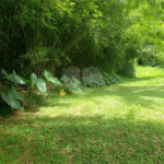 Terreno à venda em Horto, São Paulo, SP