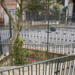 Sobrado à venda com 3 quartos em Vila Guilherme, São Paulo, SP