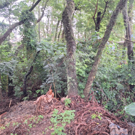 Terreno à venda em Jardim Maristela, Atibaia, SP