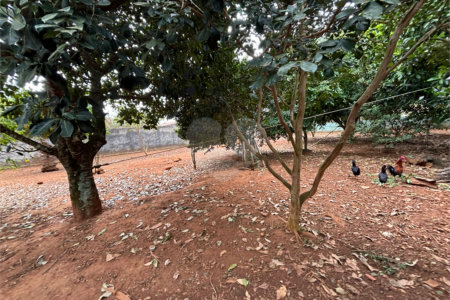 Chácara à venda com 3 quartos em Vila Sottemo, Itapetininga, SP