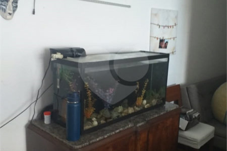 Apartamento à venda com 3 quartos em Belenzinho, São Paulo, SP