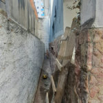 Sobrado à venda com 3 quartos em Vila Isolina Mazzei, São Paulo, SP