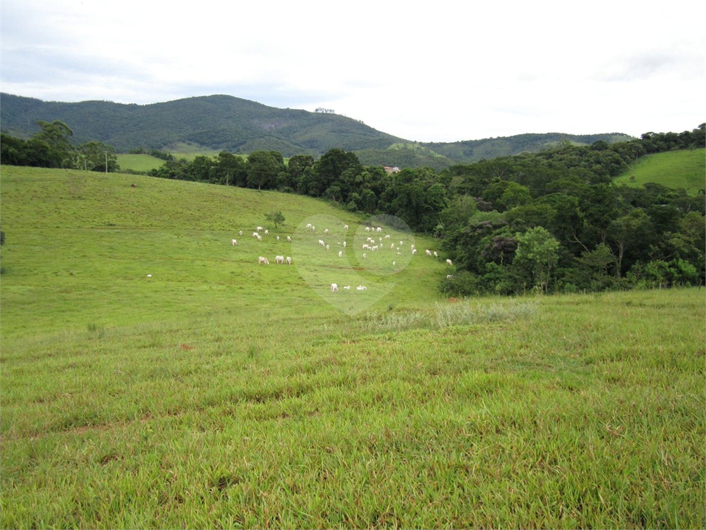 Fazenda à venda com 3 quartos em Cachoeirinha, Bom Jesus dos Perdões, SP