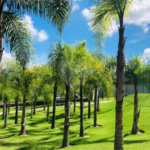 Casa à venda com 3 suítes em Loteamento Parque das Sapucaias, Campinas, SP