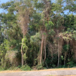 Casa à venda com 4 suítes no condomínio Reserva São Nicolau, Atibaia - SP