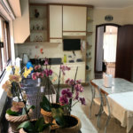Sobrado à venda com 3 quartos, sendo 1 suíte, em Limão, São Paulo, SP