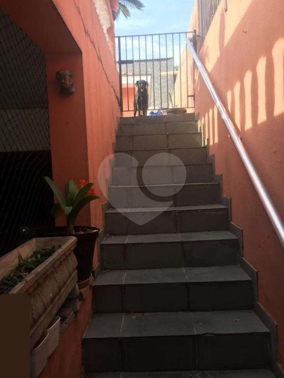 Casa Térrea à venda com 3 quartos em Vila Nova Cachoeirinha, São Paulo, SP