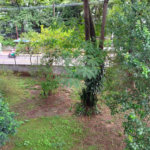Apartamento à venda com 3 quartos, sendo 1 suíte, em Jaçanã, São Paulo, SP