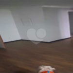 Sala para alugar em SANTANA, São Paulo, SP